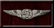 Naval Aircrew pin