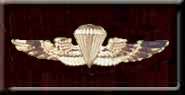 Navy Parachute Jumper